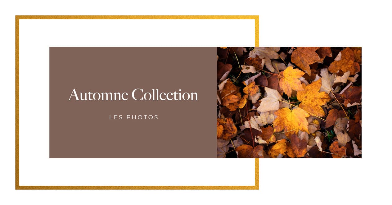 La collection automne