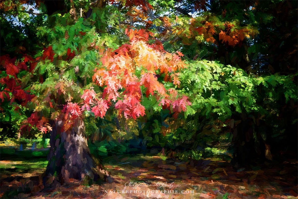 L'automne est à notre porte