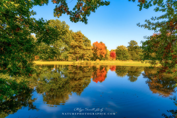 L'automne est un reflet
