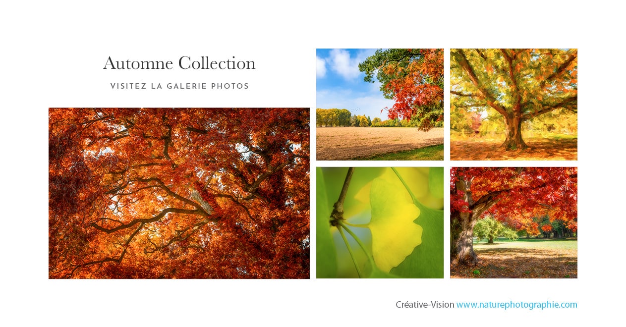 Les photos d'automne - La galerie