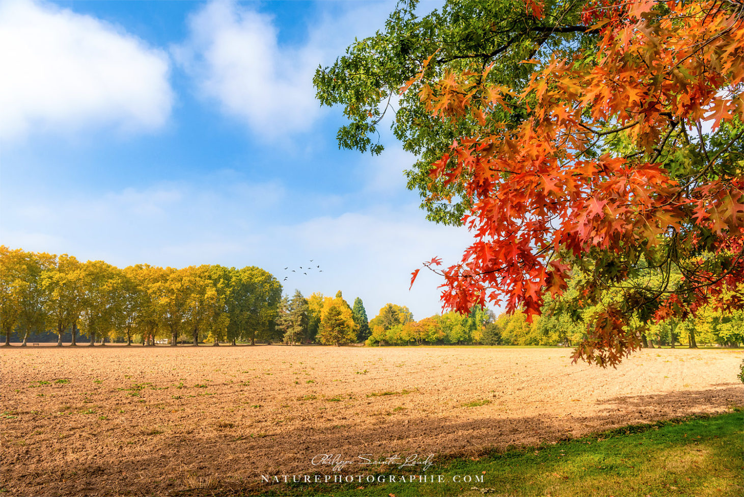 Belle Photo De La Nature Cliquez Ici Pour Afficher Et Télécharger Le