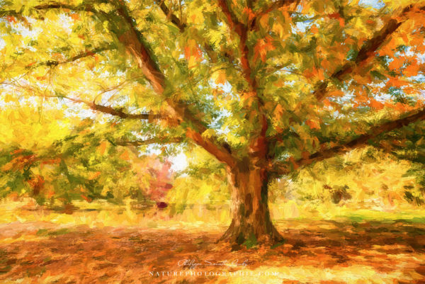 Plans Secrets Plans Secrets