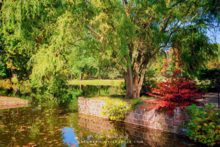 Positives Vibrations