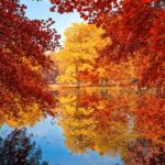 Reflet d'automne