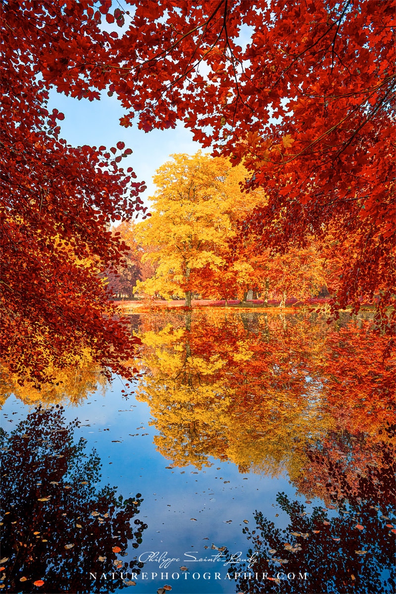 Reflet d'automne