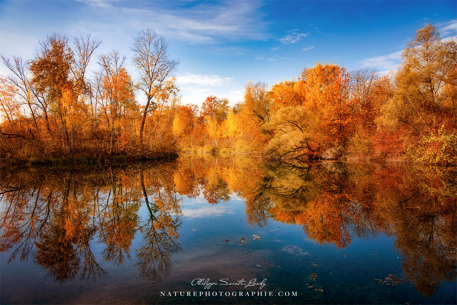 Une photo d'automne avec une forêt au bord d'un lac