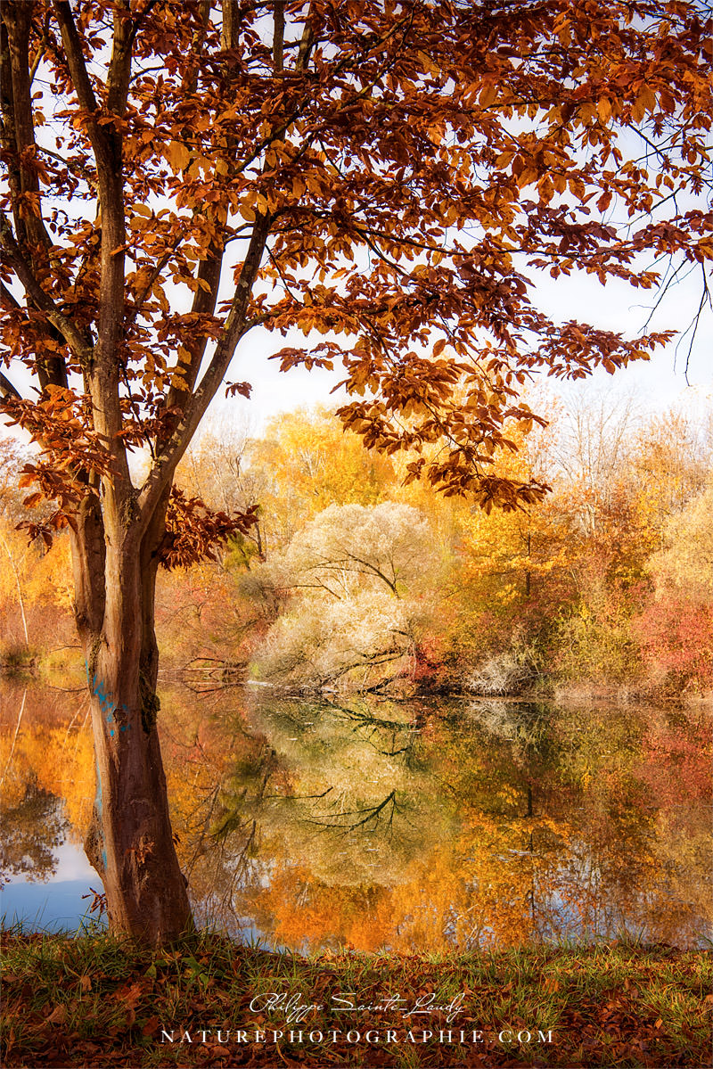 Autumnal Frame