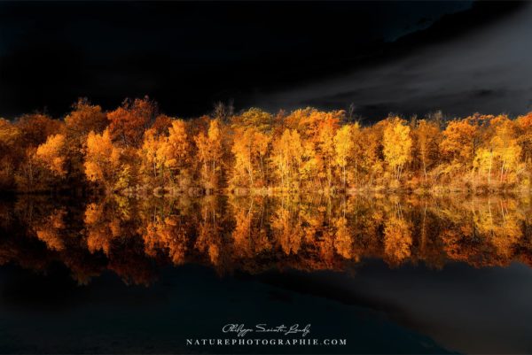 Black Sky in Autumn Black Sky in Autumn