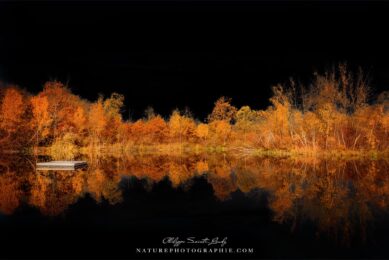 Black Sky Over the Lake