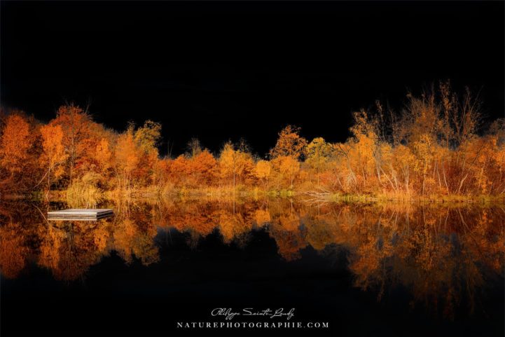 Black Sky Over the Lake