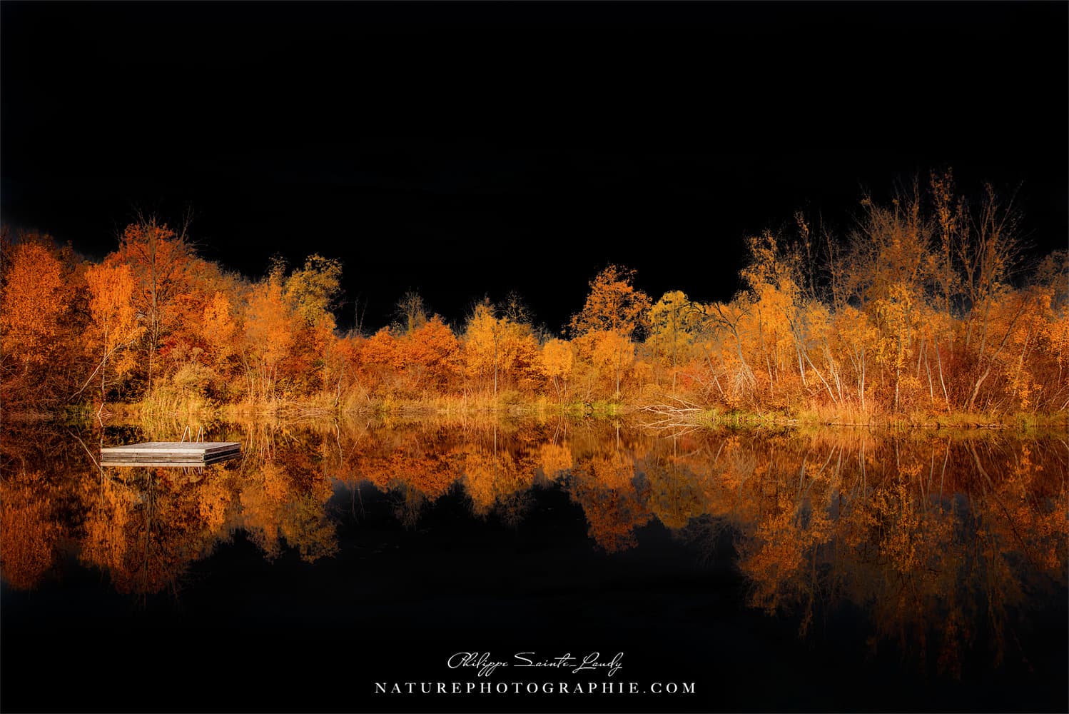 Black Sky Over the Lake