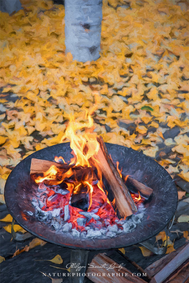 Brasero d'automne