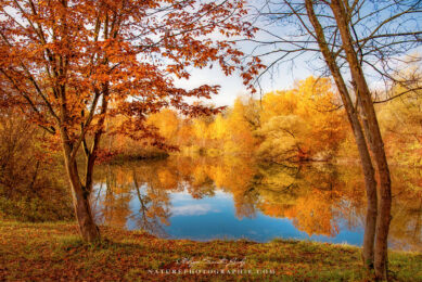 Garden of Nature
