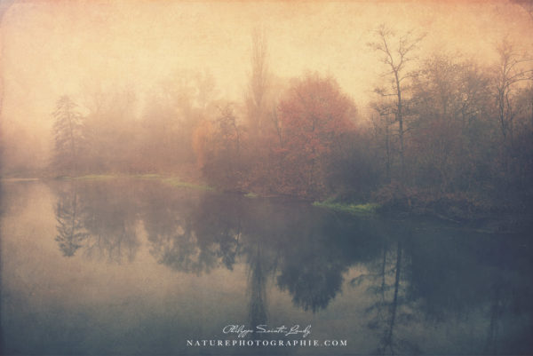 I Don’t Follow The Trend I Don't Follow The Trend