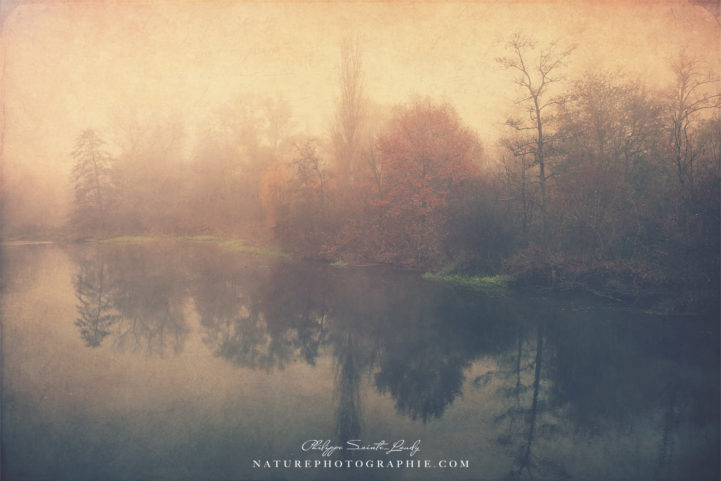 I Don't Follow The Trend