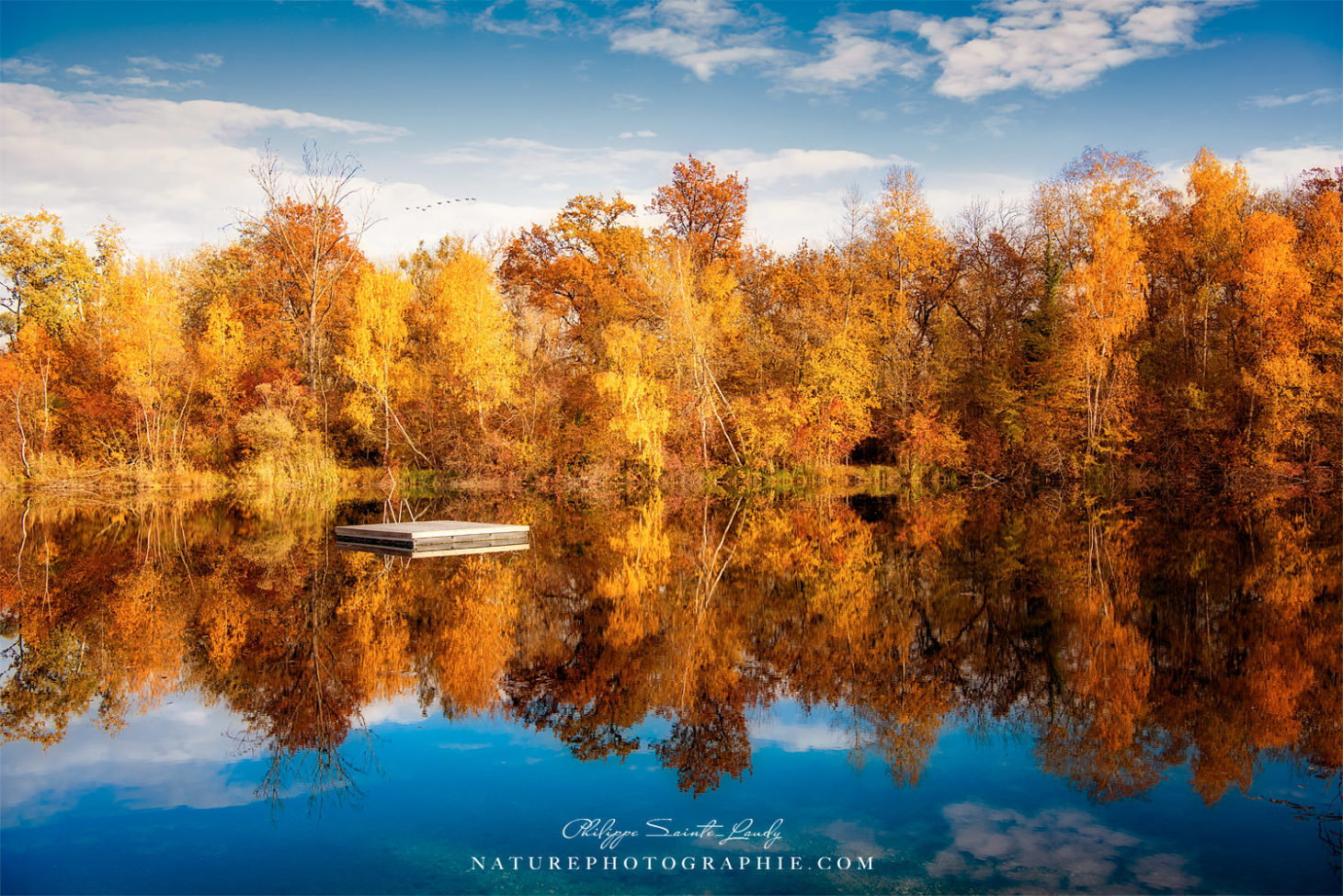 Reflet d'arbres en automne sur un lac
