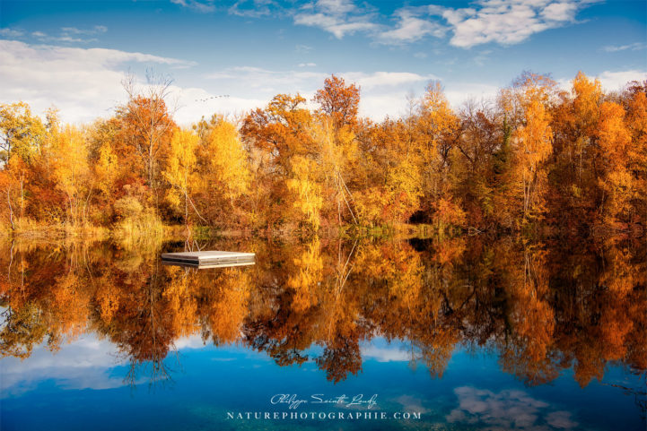 Reflet d'arbres en automne sur un lac