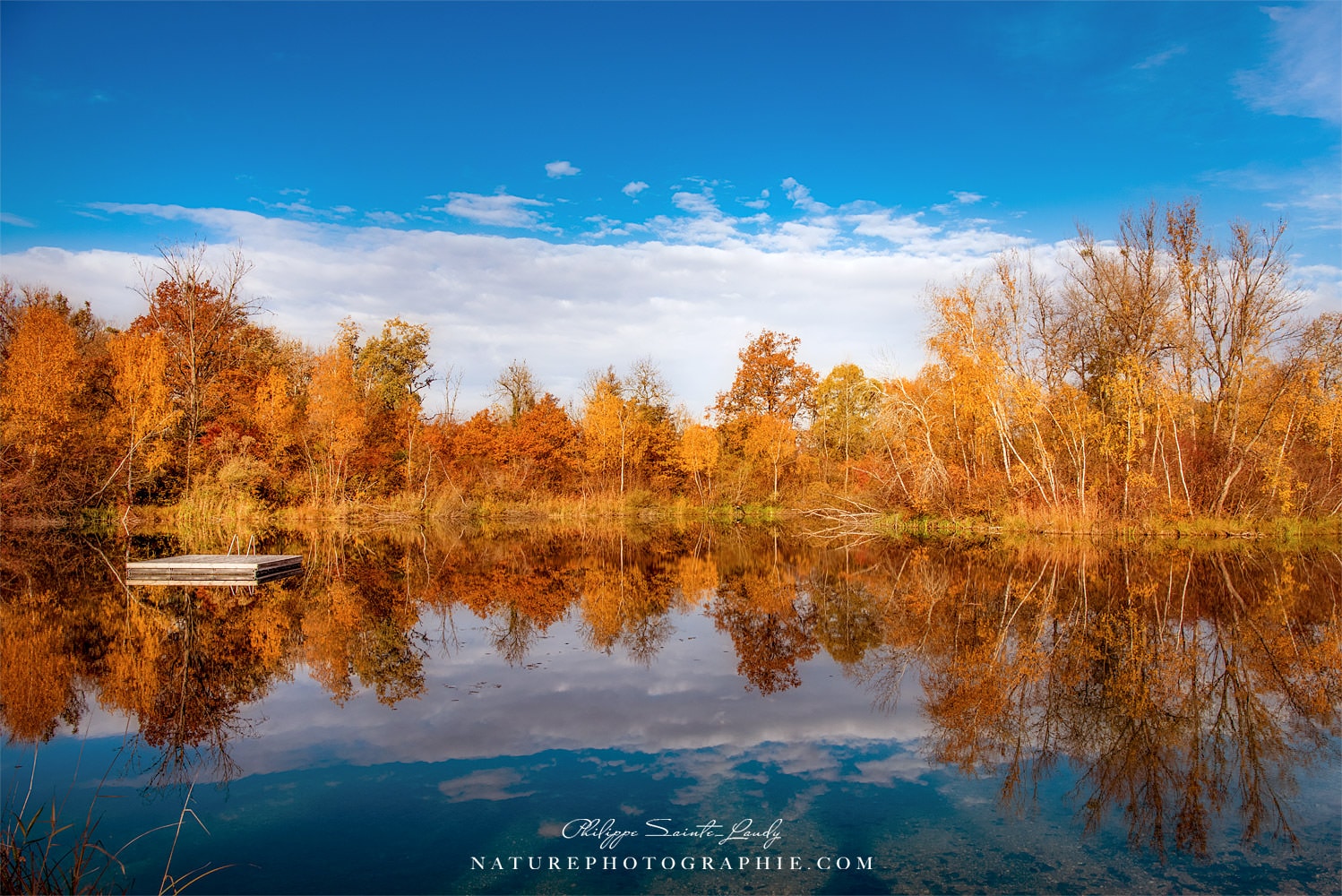 Lake Reflections