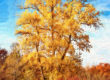 Paintographie automnale d'un arbre