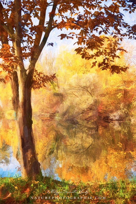 Peinture d'automne au bord de l'eau
