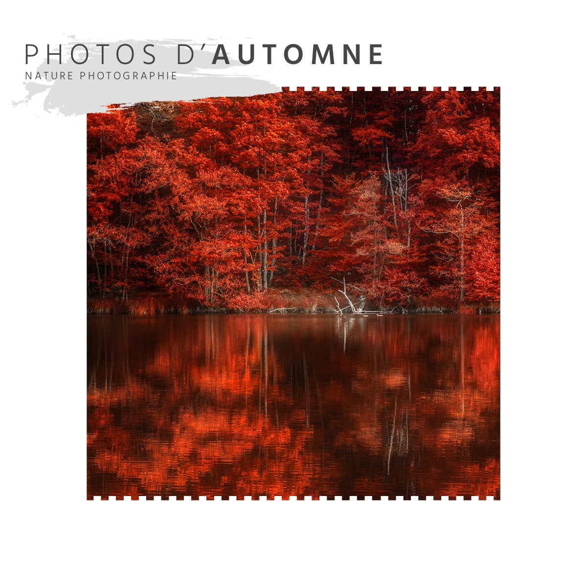 Photos d'automne