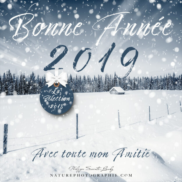Bonne Année 2019 ! Bonne Année 2019 !