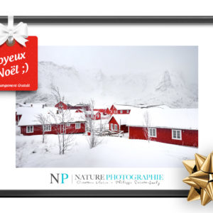 Cadeau de Noël Nature Photographie