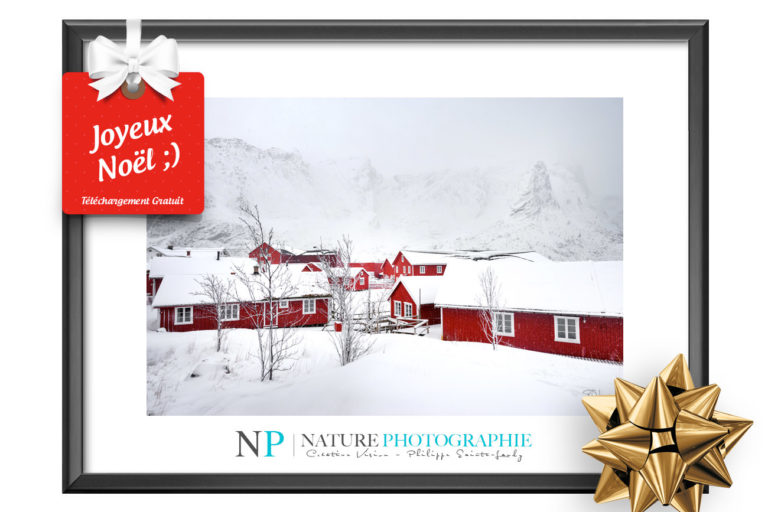 Cadeau20182019 Cadeau de Noël Nature Photographie