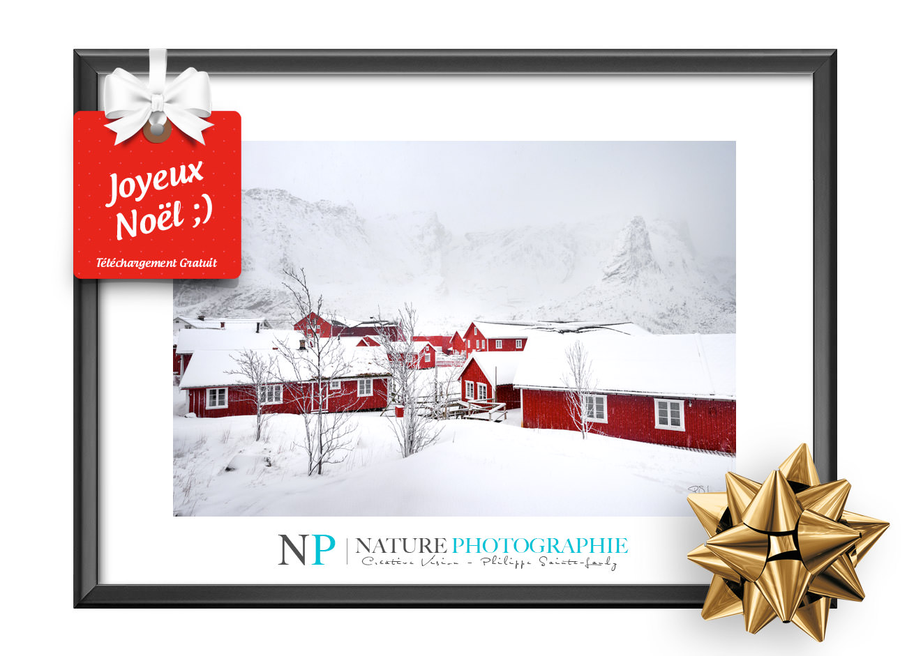 Cadeau de Noël Nature Photographie