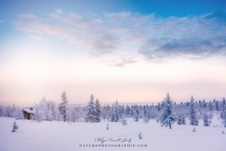 Snow Flakes in the Morning