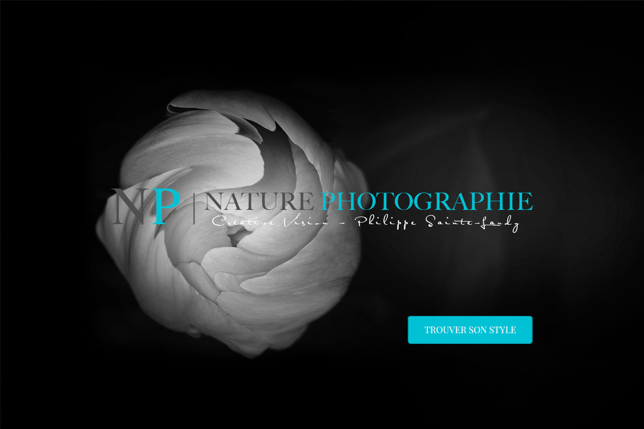 Fine Art - La Galerie Photos