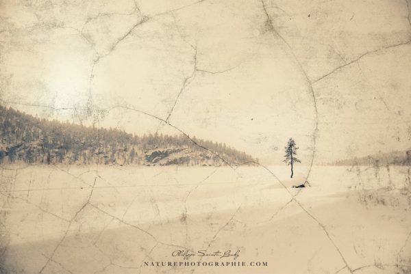 Takes All Time Takes All Time