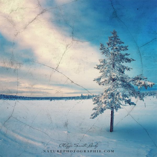 Winter Blues Winter Blues
