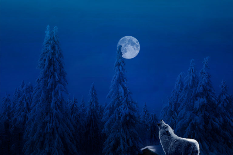 Cry to the Moon Cry to the Moon