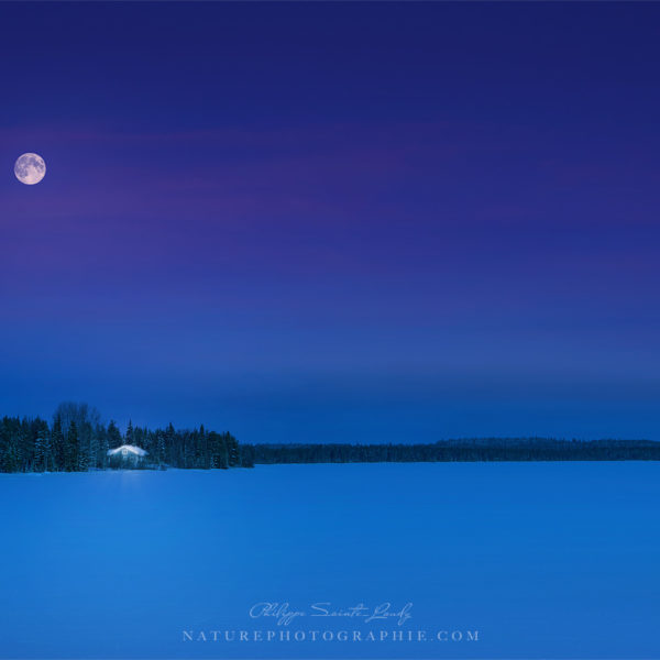 Moonshine Moonshine