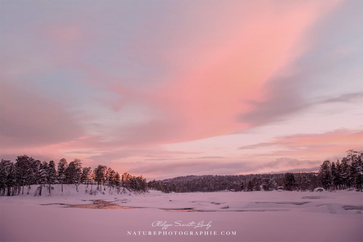 My Pink Heaven