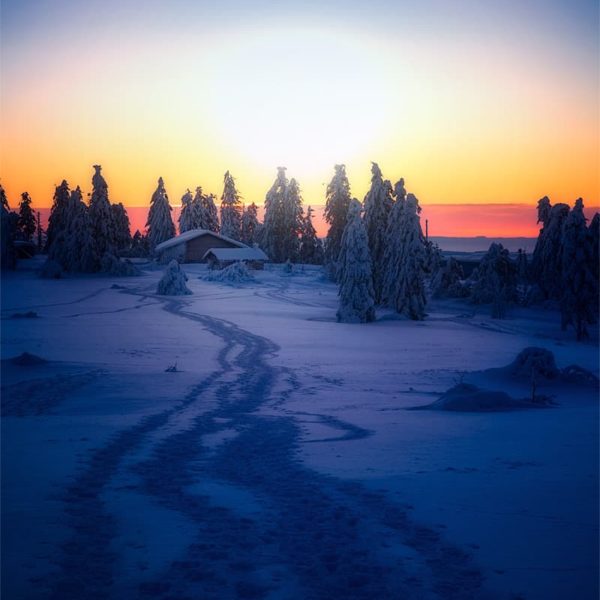 A New Dawn A New Dawn