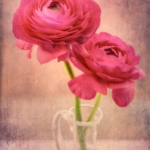 Buttercup Textured Bouquet de renoncules