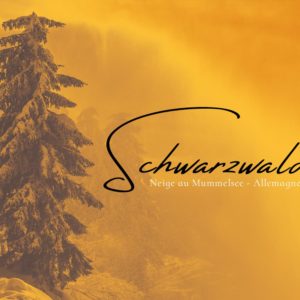 Neige au Mummelsee