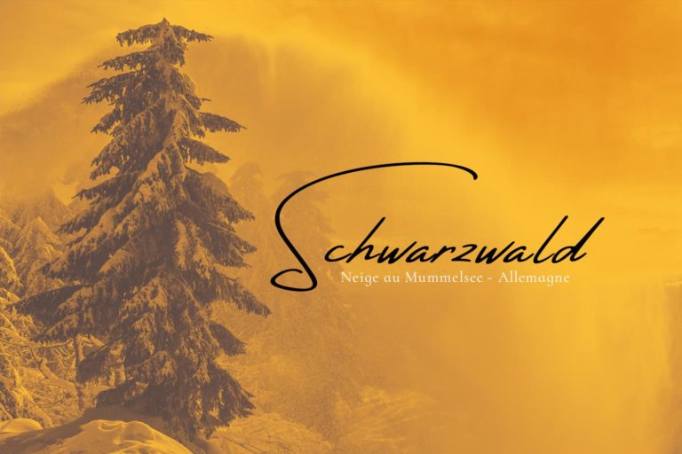 Neige au Mummelsee