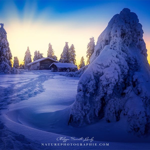 Winter Scene Winter Scene