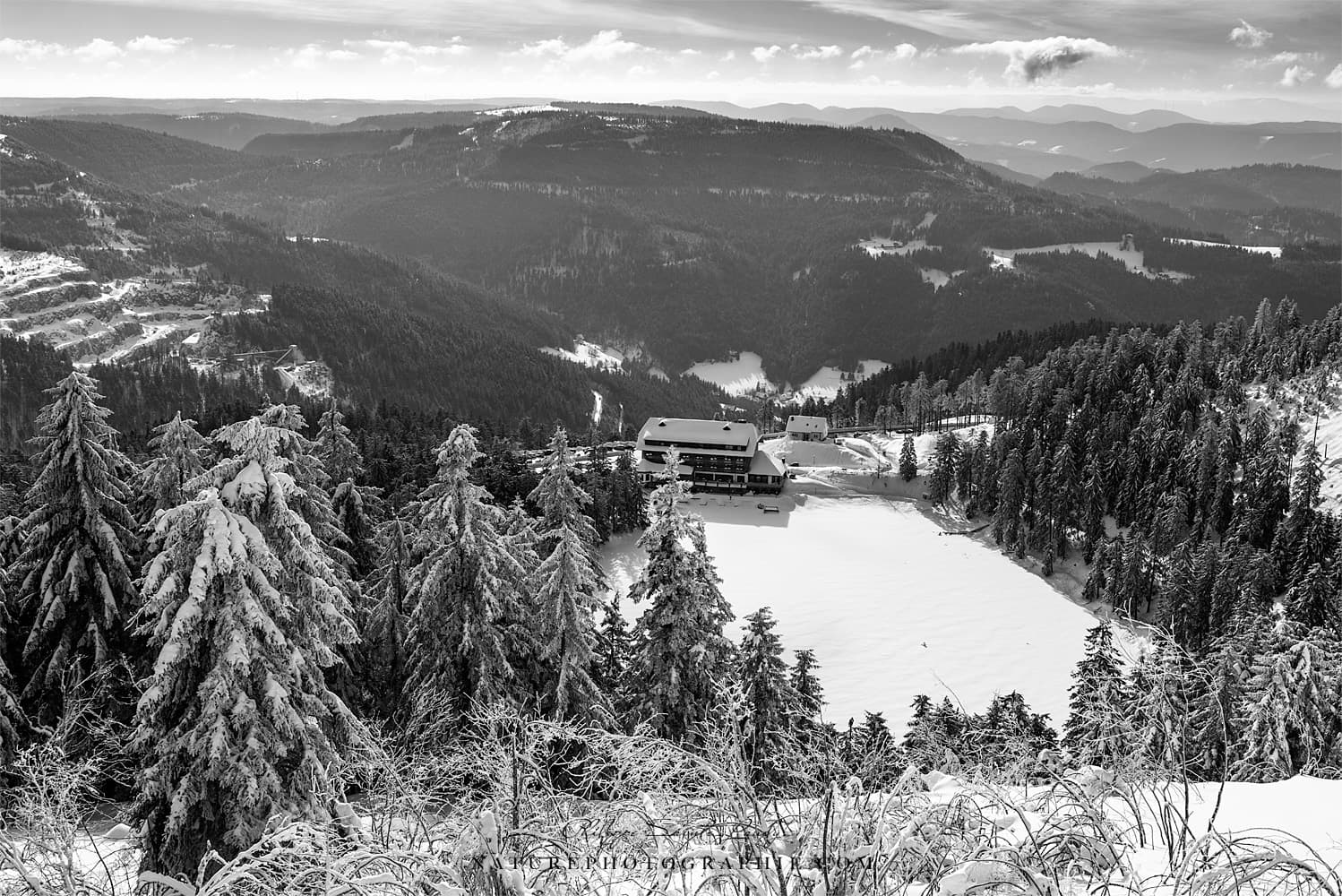 Photos Noir Et Blanc La Galerie Photo De Nature Photographie