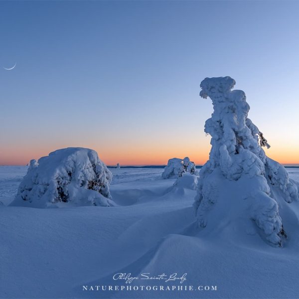 Birth of Dawn Birth of Dawn