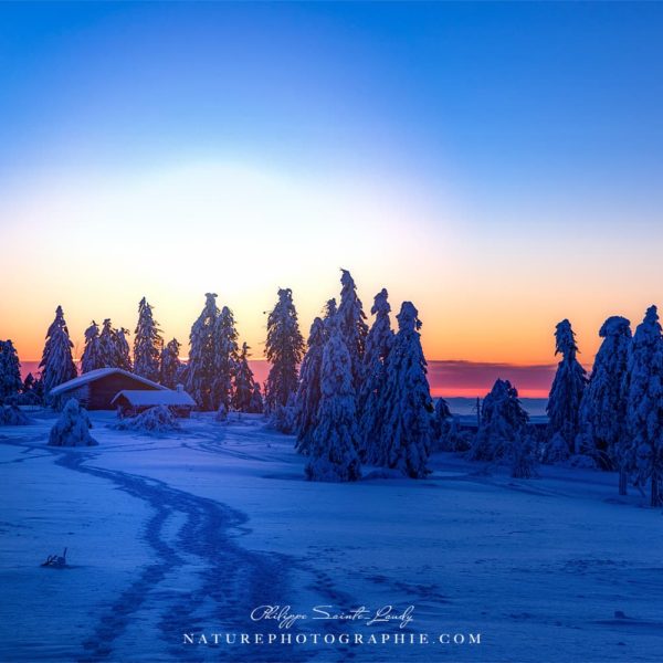 Childs of the Sun Childs of the Sun