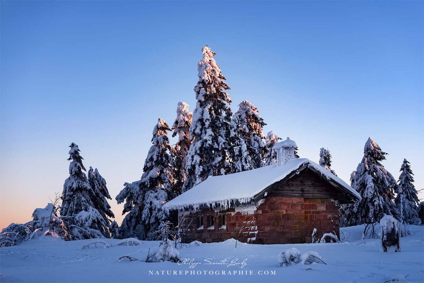 Cold Blue