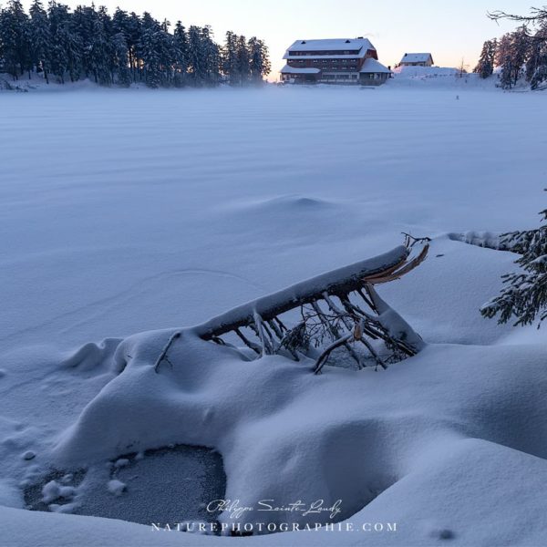 Everything Has Changed Everything Has Changed