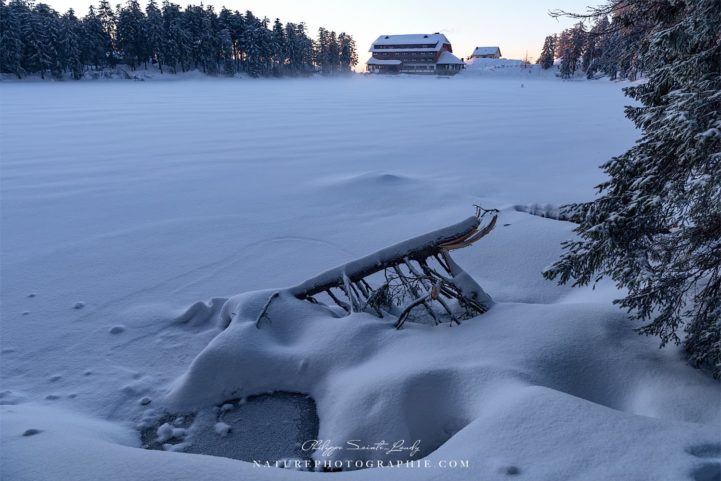 Everything Has Changed