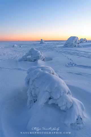 First Light of Morning