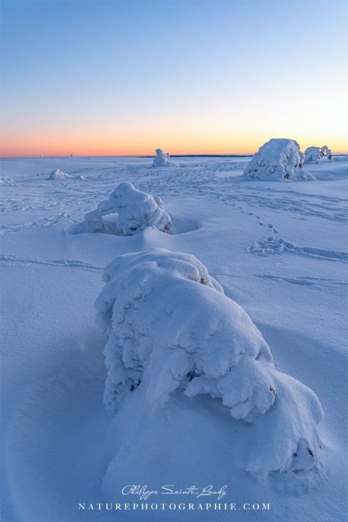 First Light of Morning