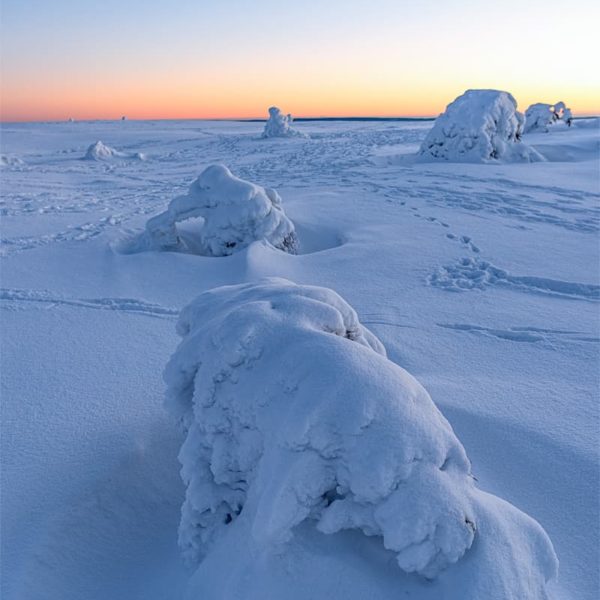 First Light of Morning First Light of Morning
